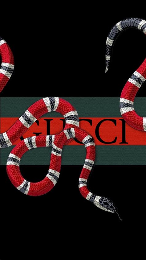 gucci iphone wallpaper snake